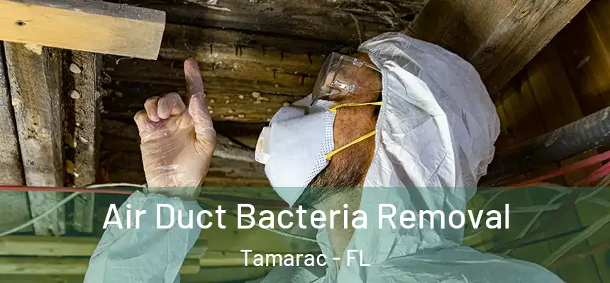 Air Duct Bacteria Removal Tamarac - FL