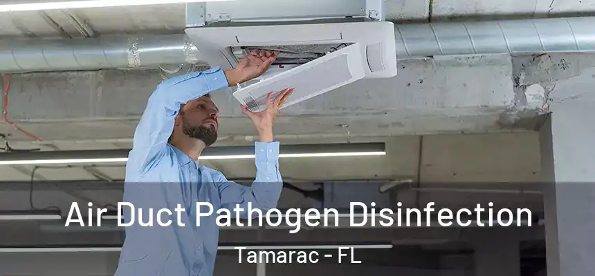 Air Duct Pathogen Disinfection Tamarac - FL