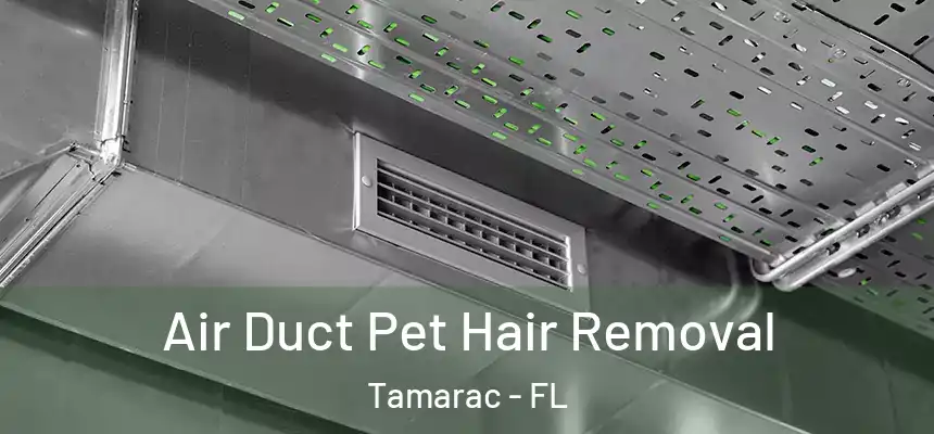 Air Duct Pet Hair Removal Tamarac - FL