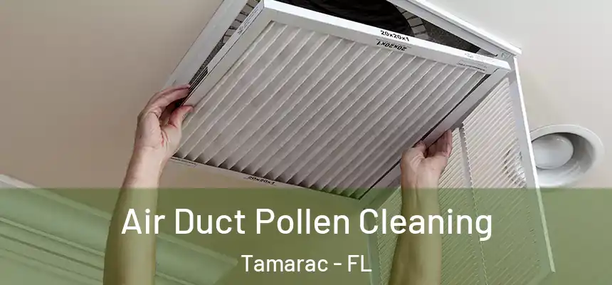 Air Duct Pollen Cleaning Tamarac - FL