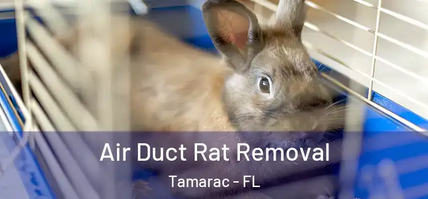 Air Duct Rat Removal Tamarac - FL