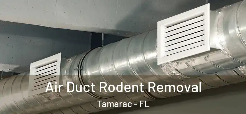 Air Duct Rodent Removal Tamarac - FL