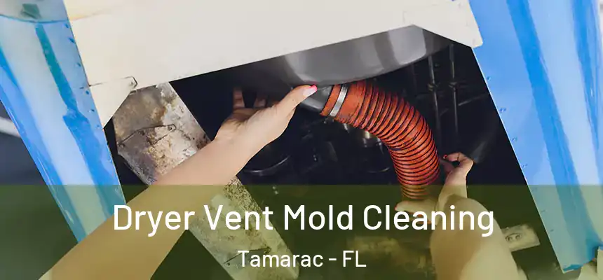  Dryer Vent Mold Cleaning Tamarac - FL