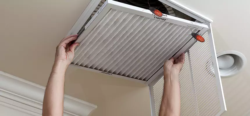 Preventive Cockroach-Proofing for Ducts in Tamarac