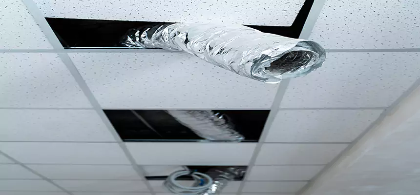 Affordable HVAC Sanitizing After Pest Removal in Tamarac