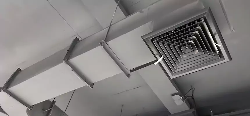 Restorative Allergy Relief Vent Cleaning – Coil, Blower & Housing Detail in Tamarac