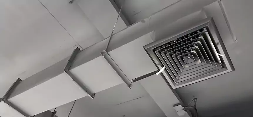 Our Rodent Droppings In Vents Services in Tamarac, FL