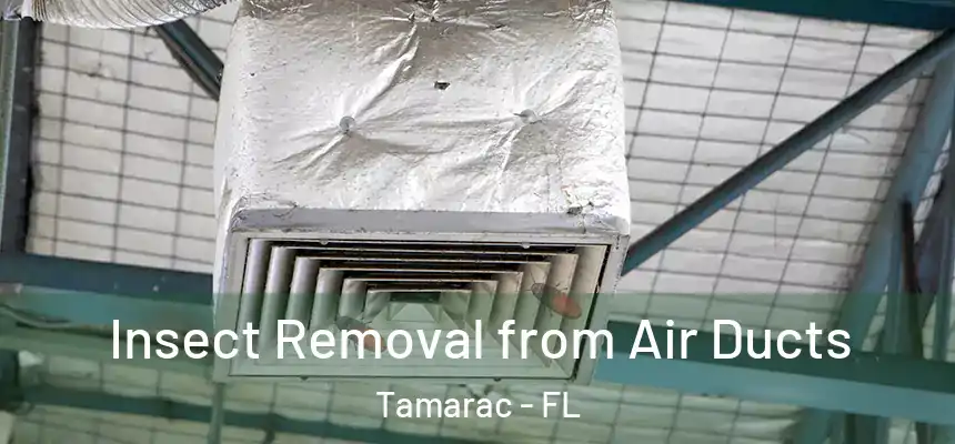 Insect Removal from Air Ducts Tamarac - FL