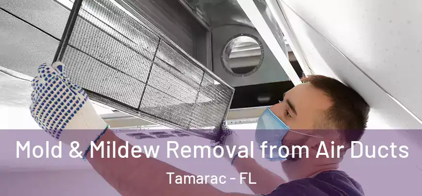 Mold & Mildew Removal from Air Ducts Tamarac - FL