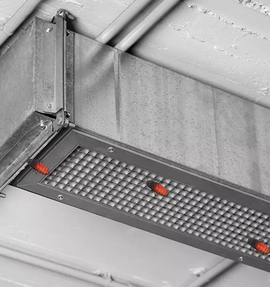 About Air Duct Cockroach Removal in Tamarac, FL