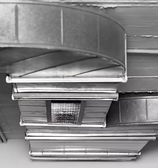 Professional Air Duct Pet Hair Removal in Tamarac, FL