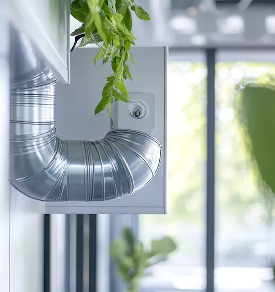 Professional Eco-Friendly Duct Cleaning Services in Tamarac, FL