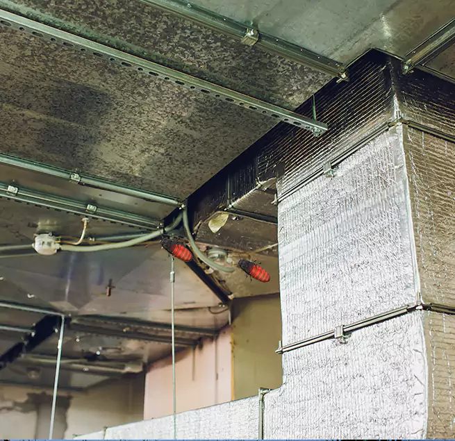 Why Homeowners & Businesses Trust Us in Tamarac, FL?