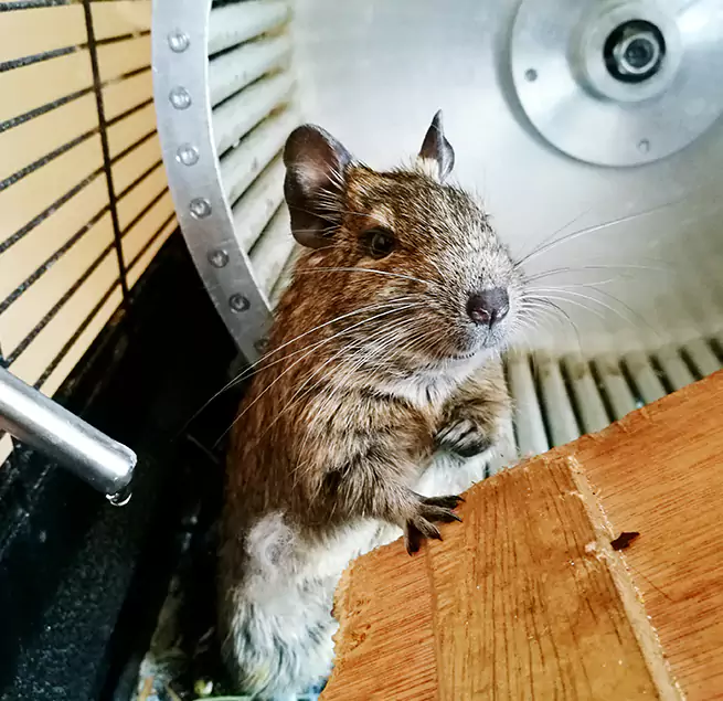 Why Homeowners & Businesses Trust Us Tamarac, FL