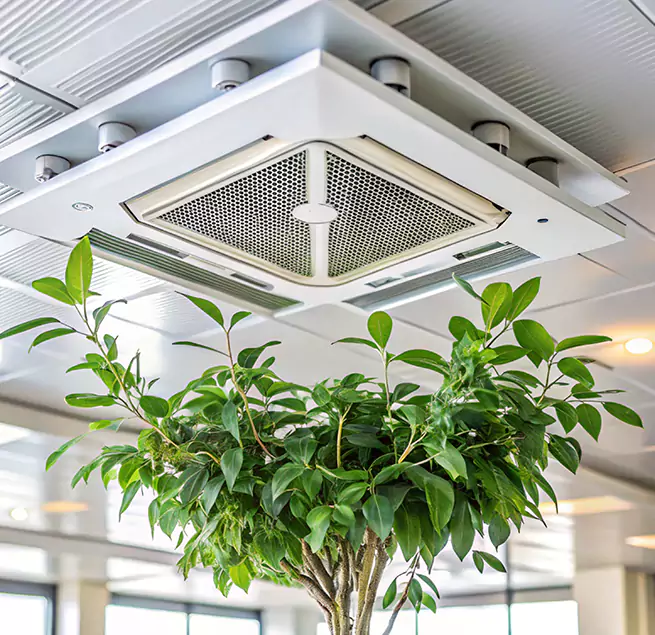 Why Homeowners & Businesses Trust Us in Tamarac, FL?